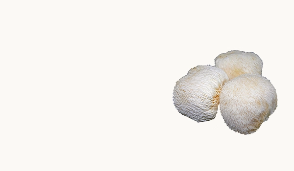 Hericium Erinaceus Lion's Mane  Mushroom Extract