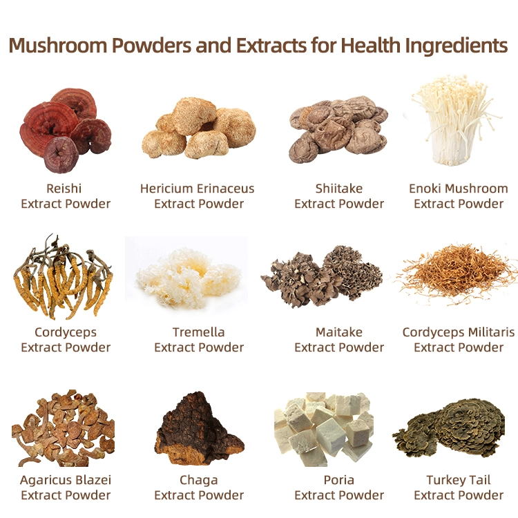 Medicinal Mushroom Extract Tremella Mushroom Shiitake Mushroom Agaricus Blazei Mushroom Extract Blends