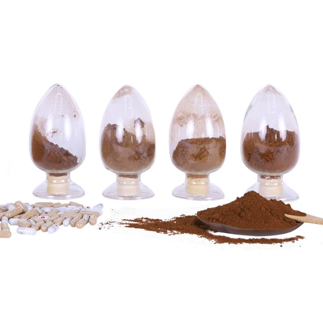 What are the differences between Lion's Mane extract and powder?